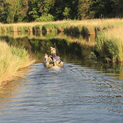 Photo #7768141