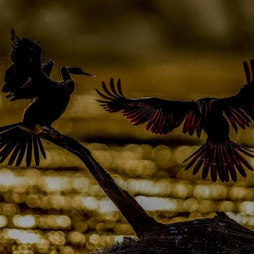 Photo #7768182