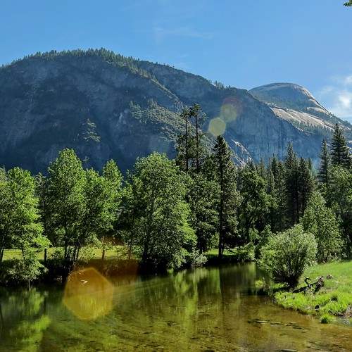 Photo #7768525