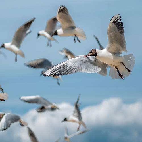 Photo #7768621