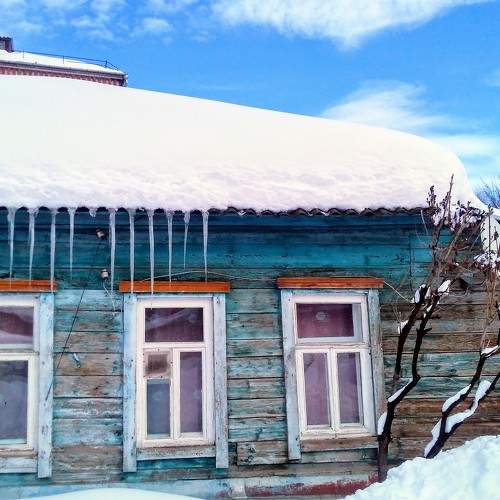 Photo #7768842