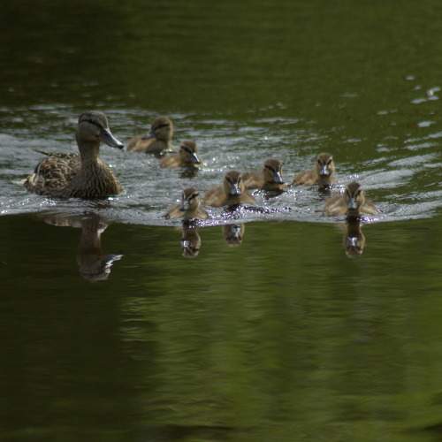 Photo #7768952