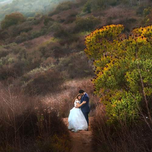 Photo #7769203