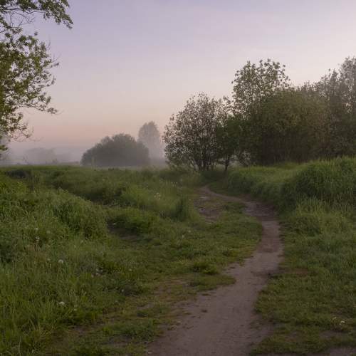 Photo #7769214
