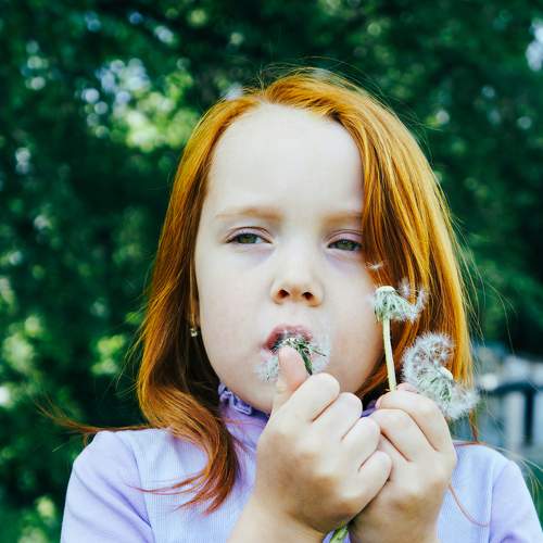 Photo #7769269