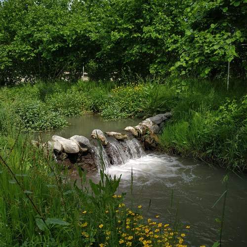 Photo #7769466