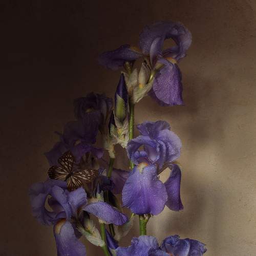Photo #7769778