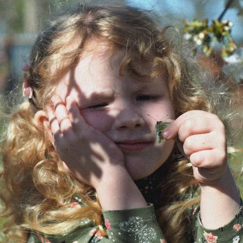 Photo #7769866