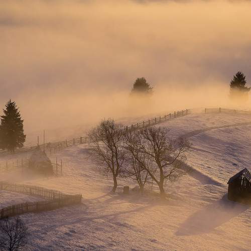 Photo #7769930