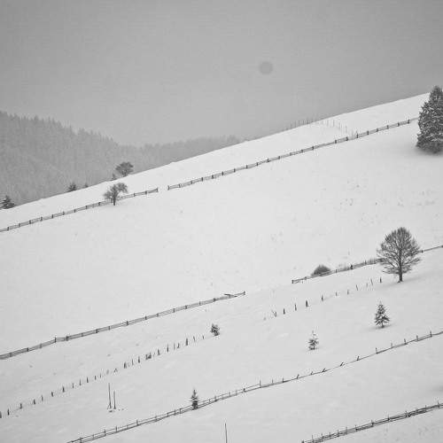 Photo #7769935