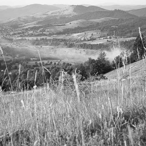 Photo #7769955