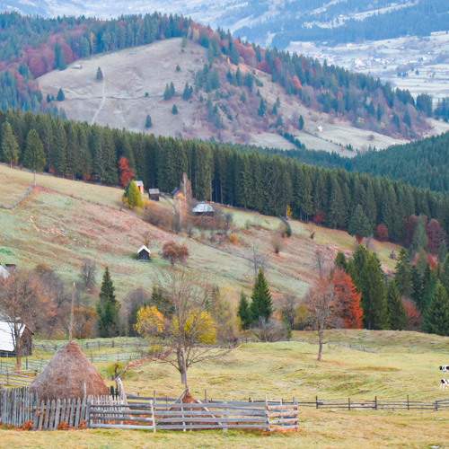 Photo #7769973
