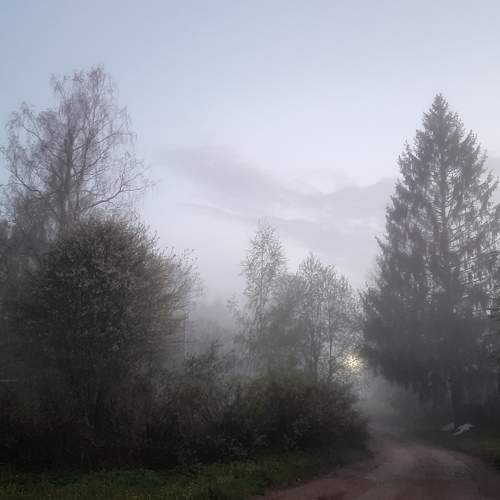 Photo #7770387