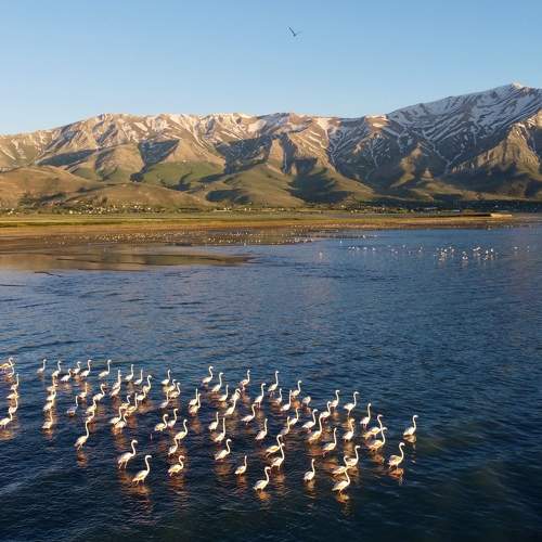 Photo #7770591