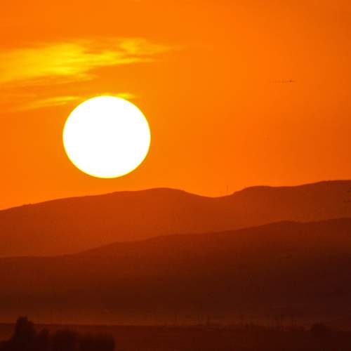 Photo #7770593