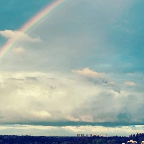 Photo #7770705