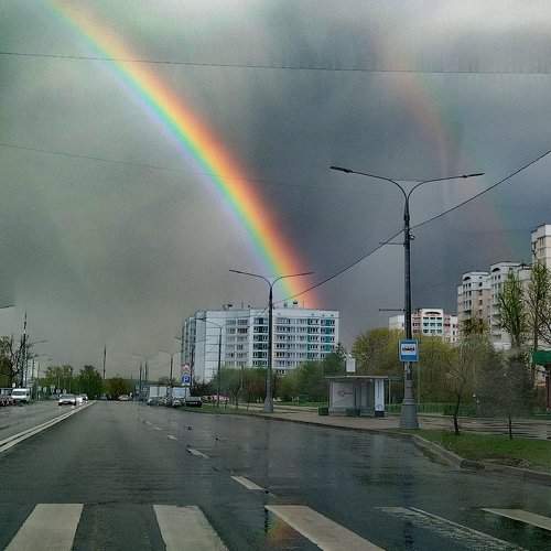 Photo #7770926
