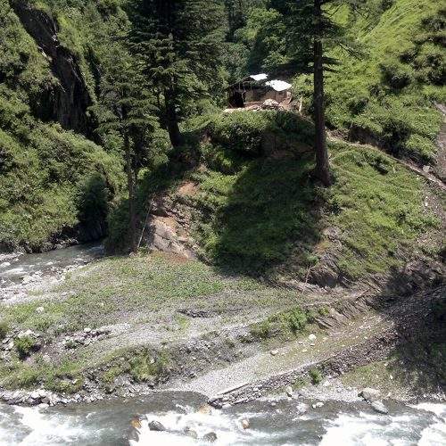 Photo #7771555