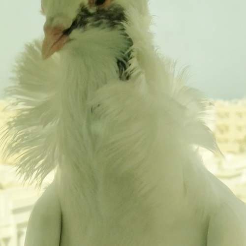 Photo #7771850