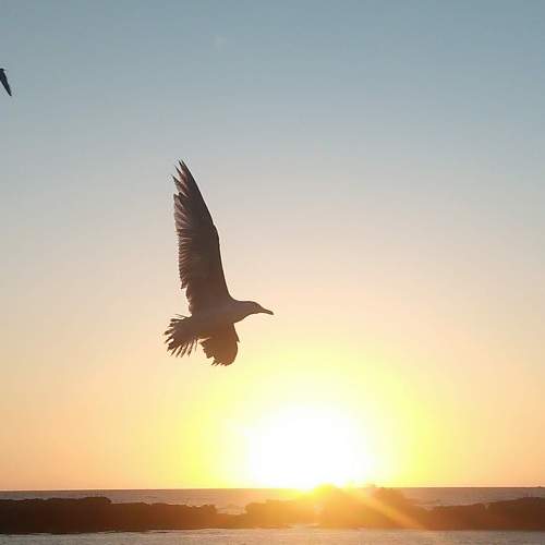 Photo #7771888