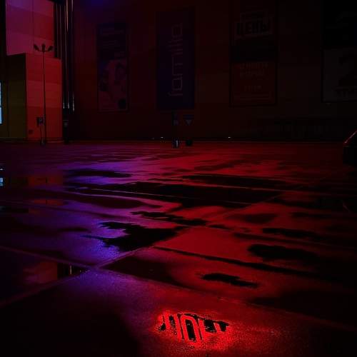 Photo #7771957