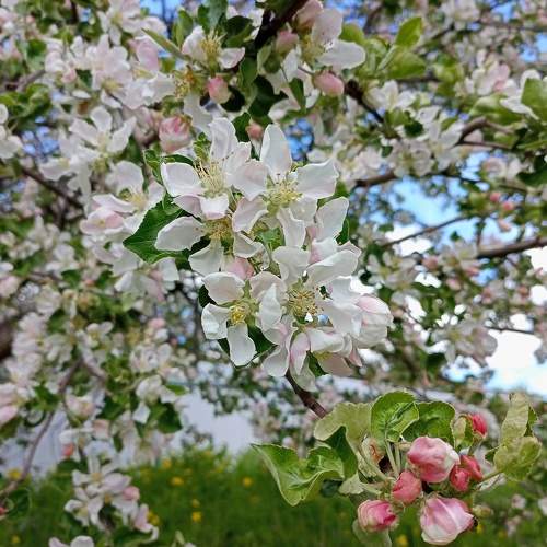 Photo #7772186