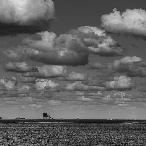Photo #7772482