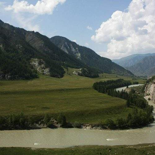 Photo #7772498