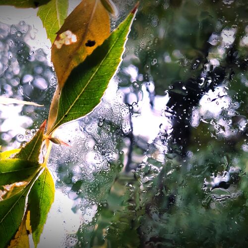 Photo #7772757