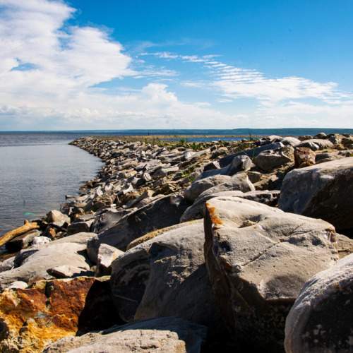 Photo #7772850