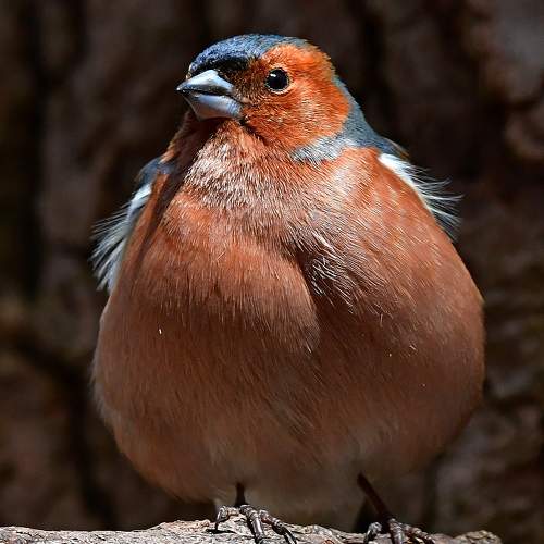 Фотография #7772938