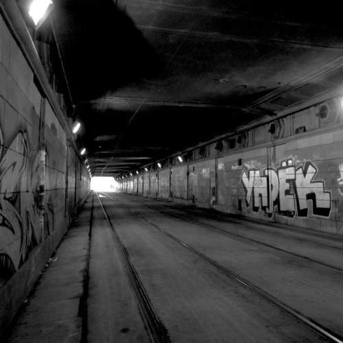 Photo #7773082