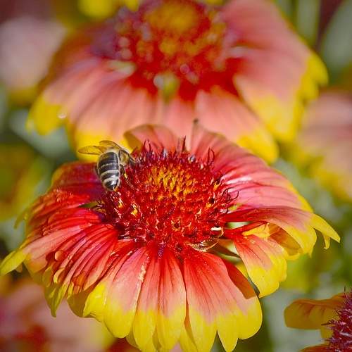 Photo #7773085