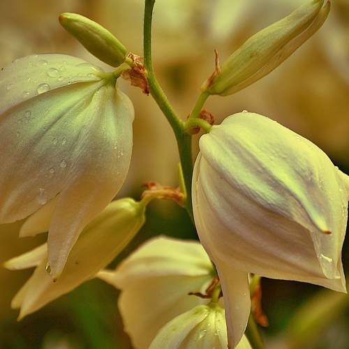 Photo #7773086