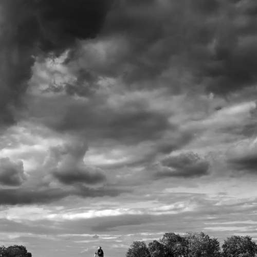 Photo #7773124