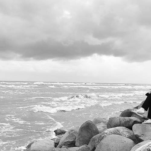Photo #7773132