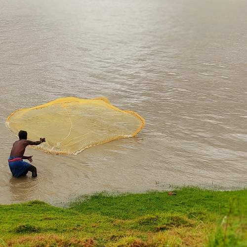 Photo #7773400