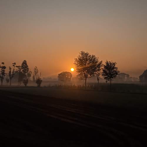 Photo #7773691