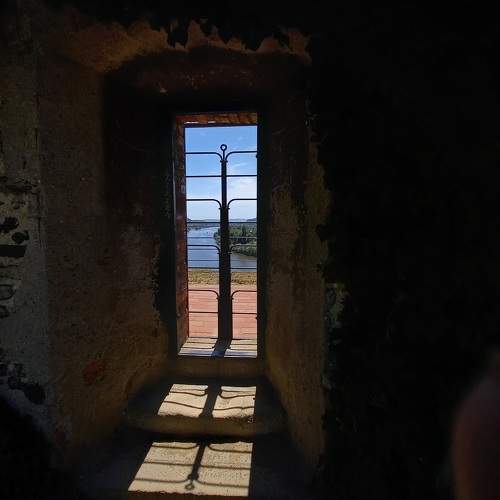 Photo #7773900