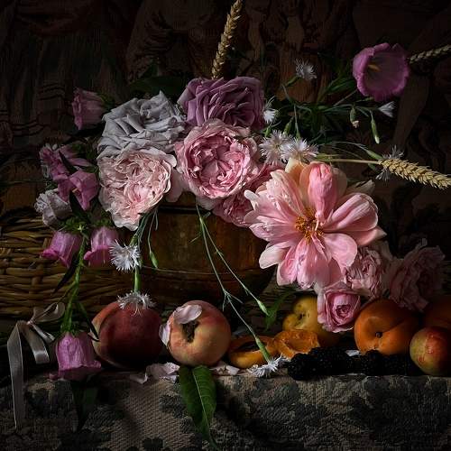 Photo #7774090