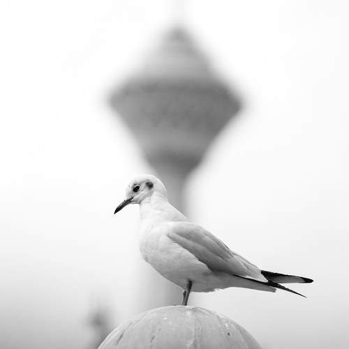 Фотография #7774168