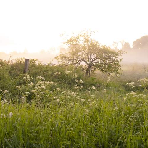 Photo #7774201