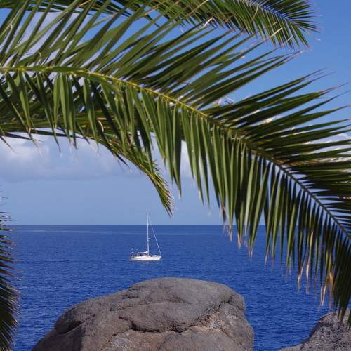 Photo #7774422