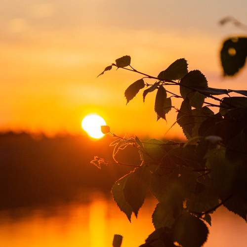 Photo #7774563