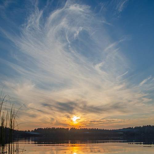 Photo #7774578