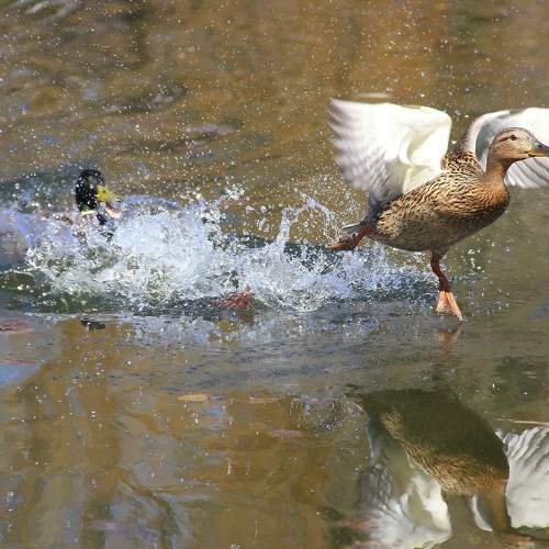Photo #7774926
