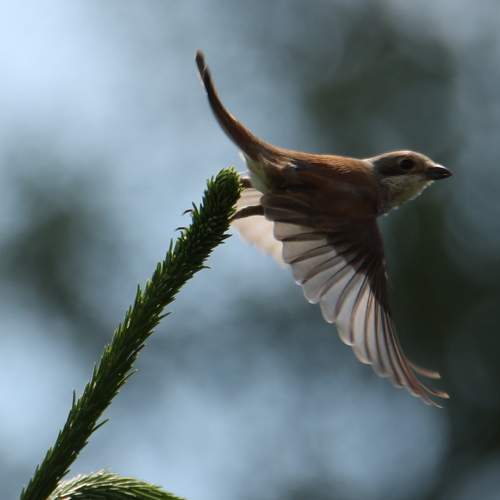 Photo #7774997
