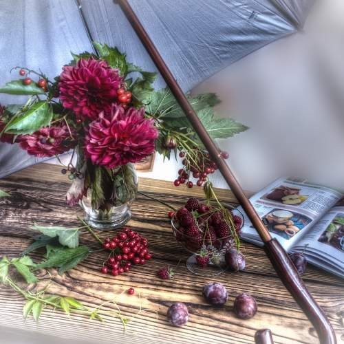 Photo #7775439