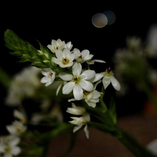 Photo #7775538