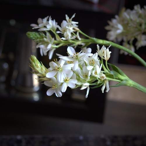 Photo #7775541